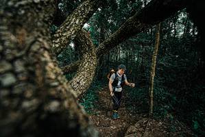 BIB: 
                            <button type="button" onclick="openModal(25704128)" class="btn btn-primary btn-sm float-right btn-popup" data-toggle="modal" data-target=".modal-high-quality">
                        <i class="fas fa-shopping-cart"></i> Add to Cart
                    </button>
                                            <button type="button" onclick="isThisMe(25704128, true)" class="btn btn-success btn-sm float-right btn-popup btn-isme hidden" data-toggle="tooltip" data-placement="bottom" title="นี่คือรูปของคุณใช่ไหม คลิกที่นี่เพื่อเอาเข้าอัลบั้ม">
                        <i class="fas fa-plus"></i> Add to album
                    </button>
                    <button type="button" onclick="isThisMe(25704128, false)" class="btn btn-warning btn-sm float-right btn-popup btn-isnotme hidden">
                        <i class="fas fa-ban"></i> Remove from album
                    </button>